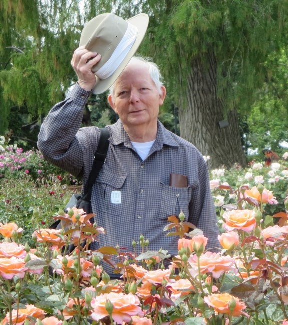 Obituary of Dennis Lee Salts