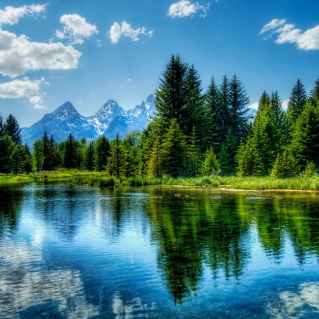 Obituary of David A Carnes