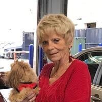 Obituary of Dian Helen Moye