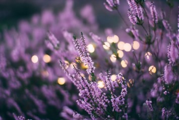 Obituary of Marlene A Durbin
