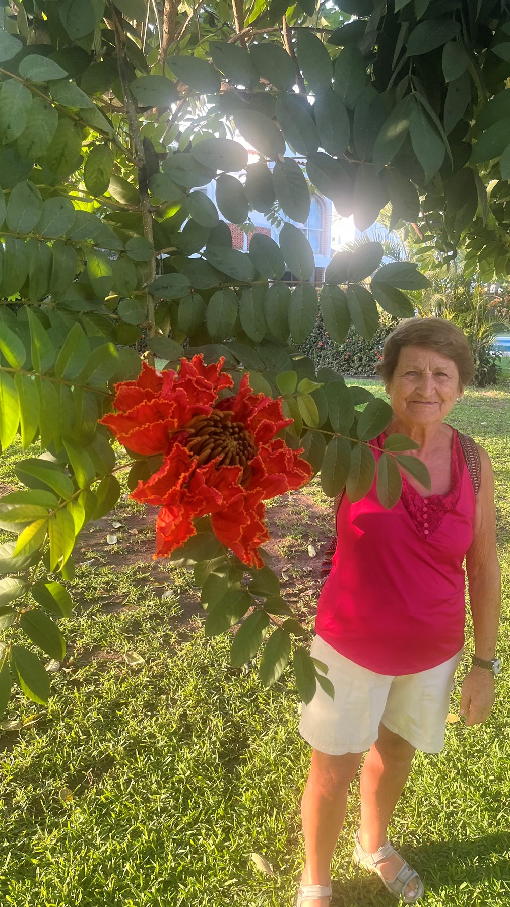 Obituary of Gisèle Tremblay