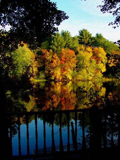 Obituario de Max Eugene Pfitzner