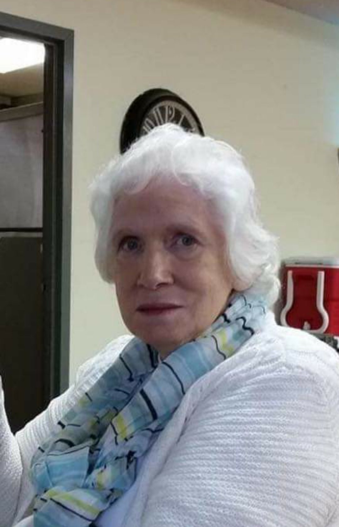 Obituary of Patricia Jean Schemel