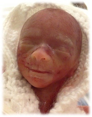 Obituary of Zoltan Jon Dean Wallis