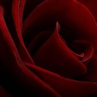 Obituary of Marylyn S. Patterson