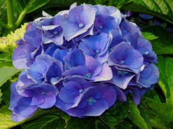 Obituary of Kathryn M. Hudson