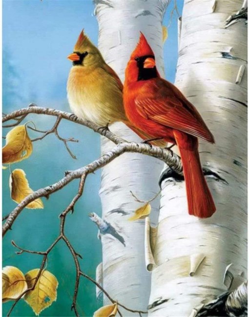 Obituary of Nancy L. Eichler