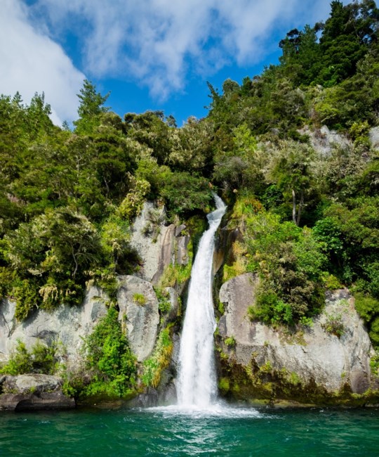 Obituary of Jimmy Wing Keung Yung