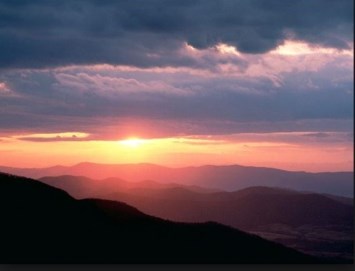 Obituary of Syed Shahid Husain