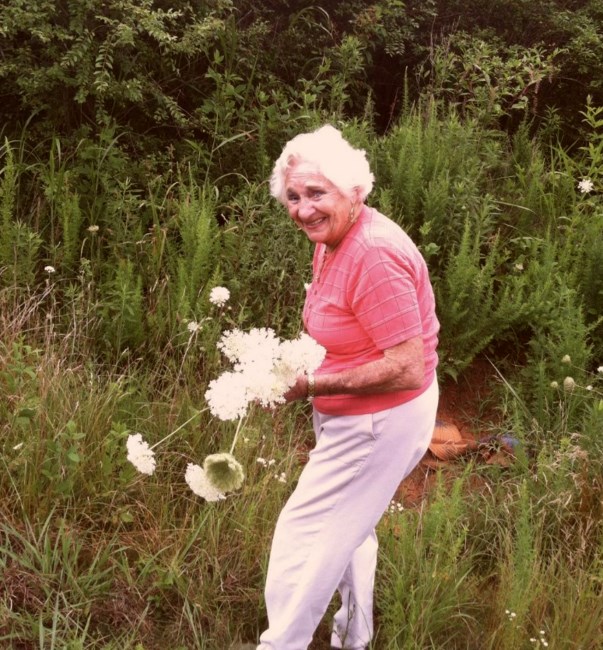 Obituary of Patricia Collins Scholtz