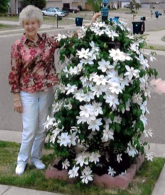 Obituary of Mary Earl Cooper Mayhan