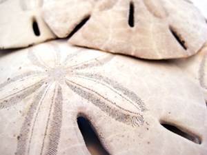 Obituary of Jennifer Julie Floyd