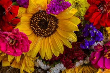 Obituary of Josephine Kasper