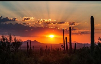Obituary of Robert Paul Morath
