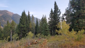 Obituary of Eric Leon Melander