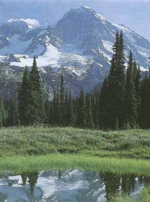 Obituary of Phillip Green