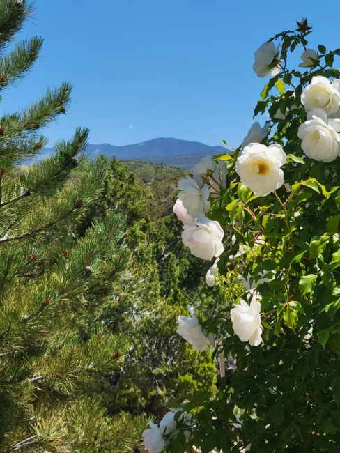 Obituary of Marylyn Ruth P. Crawley