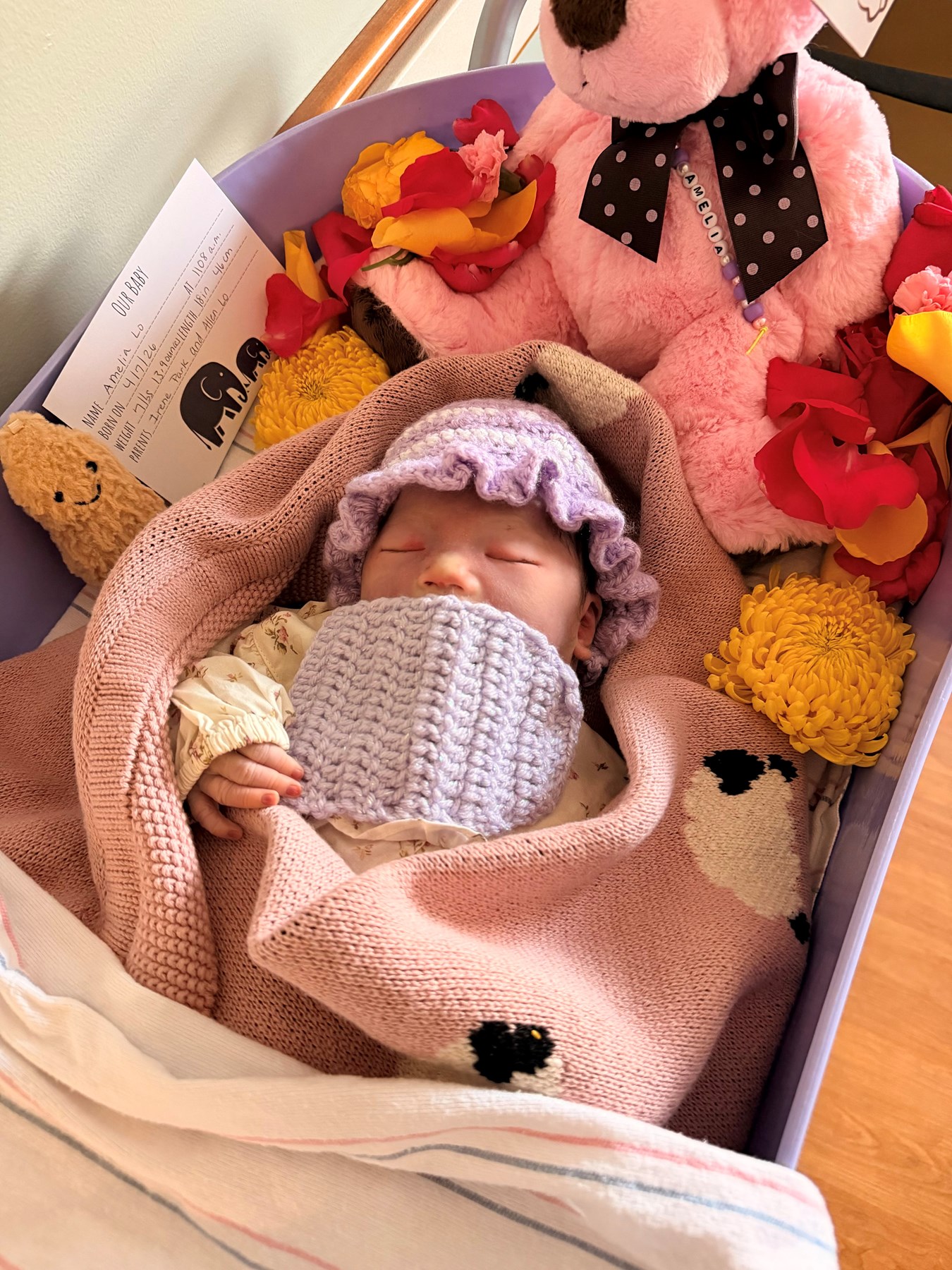 Obituary of Amelia Park Lo