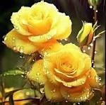 Obituary of Ruth B. Maska