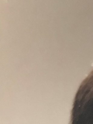 Cari Bivona Obituary 2019 Newton Nj The New Jersey Herald Form