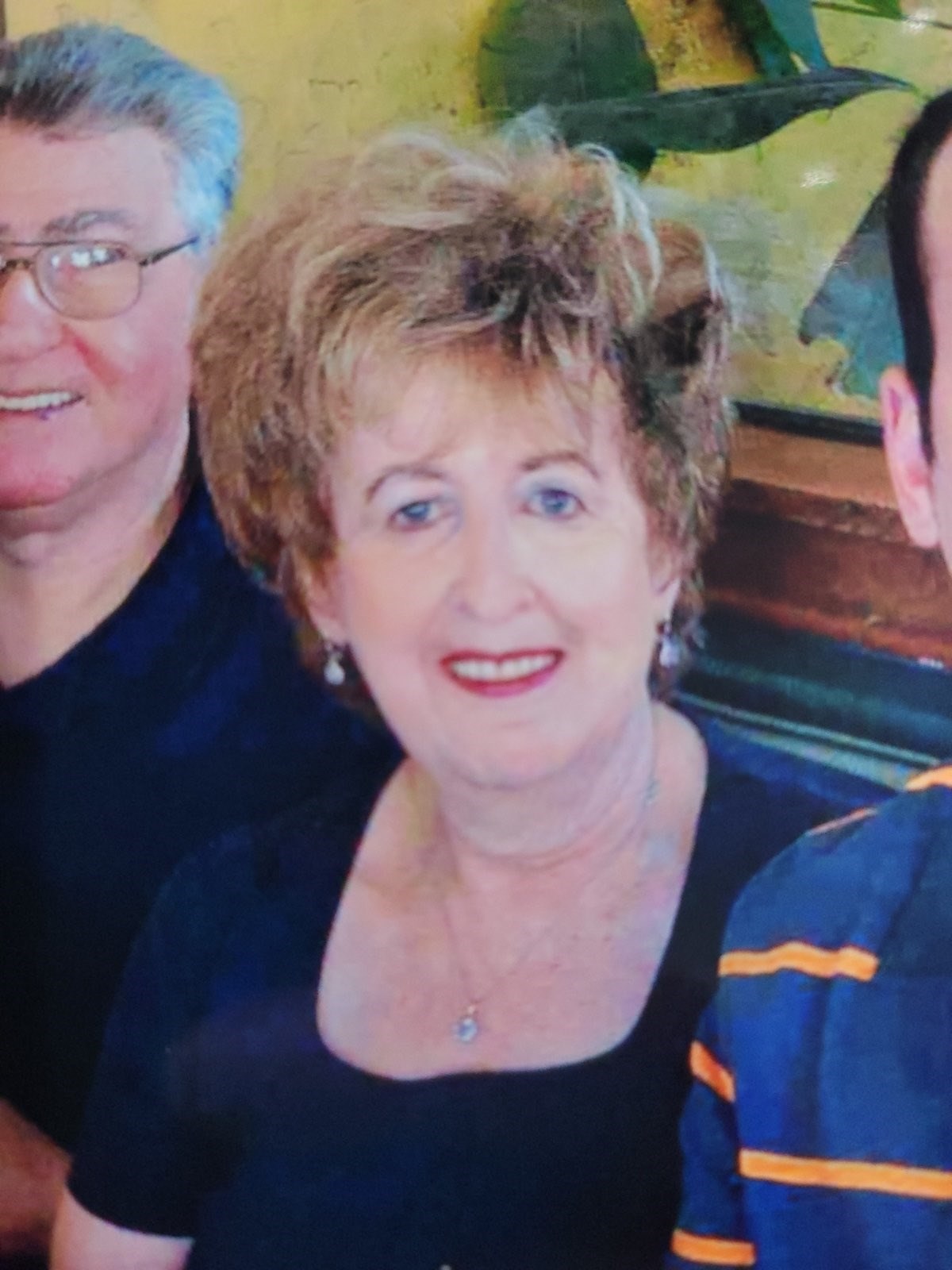Beverly Rosen Obituary Palm Harbor, FL