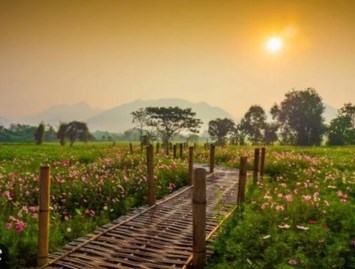 Obituario de Harvey Arlice Williams Jr.