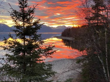 Obituary of Che Min Lee