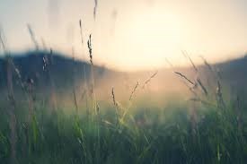 Obituary of Glenn Dion Dixon