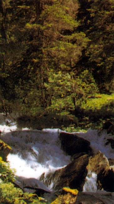 Obituary of Peter Grant Heckler