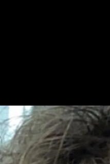 Michael Lavelle Obituary Springfield VA michael-lavelle-obituary-springfield-va