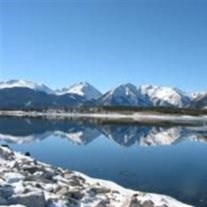 Obituary of Merlin E. Carlton