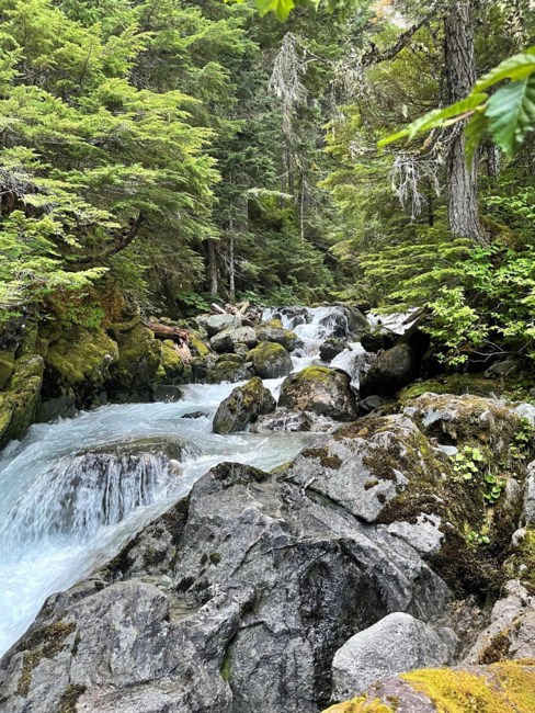 Obituary of Tamara Dolly Edna Jacob