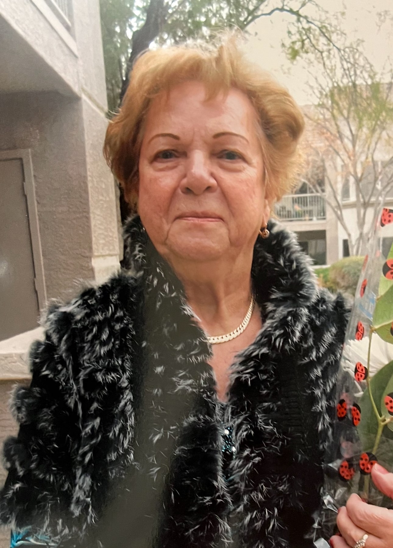 Obituary of Ovsana "Nina" T. Ambartsumova