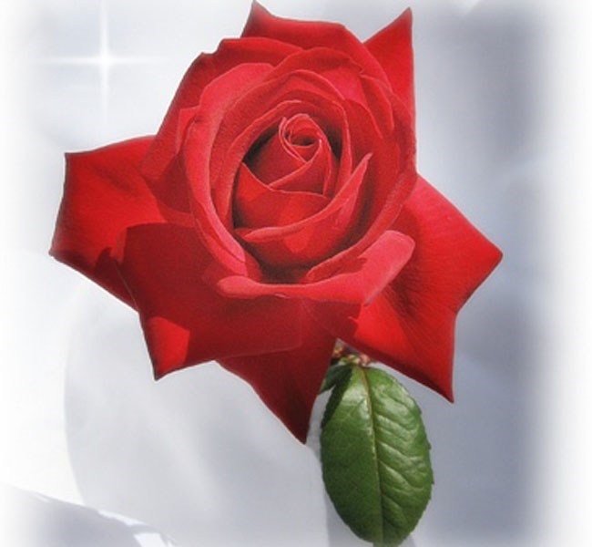 Obituary of Hazel M. Williams