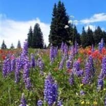 Obituary of Fred Joseph Hahn