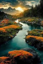 Obituary of Thomas Michael Dowd