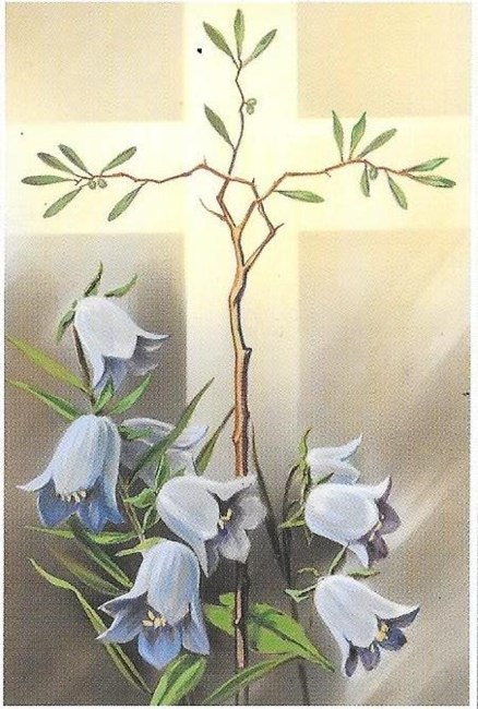 Obituary of Isidro Valladarez Garcia