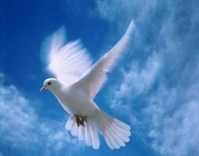 Obituario de Virginia Mendoza Vda. de Quijano