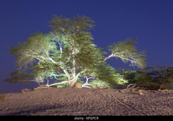 Obituary of Gordon James Scruggs Sr