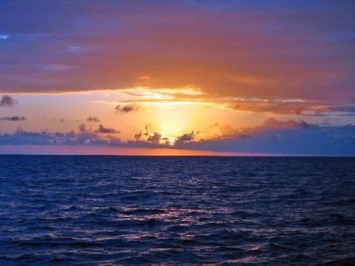 Obituary of William Donald Booth