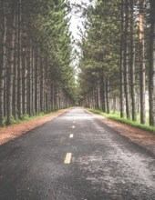 Obituary of George W. Powell, Jr.