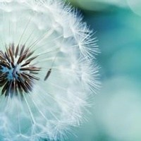Obituary of Mary JoAnn Kimball