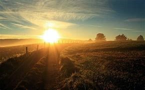 Obituary of Elmas Rexhepi