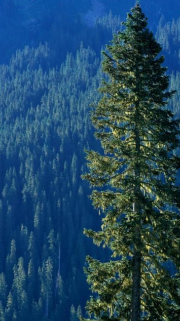 Obituary of Krzysztof Grodzki