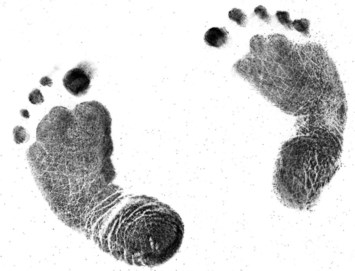 Obituary of Amber Bliss Brennan