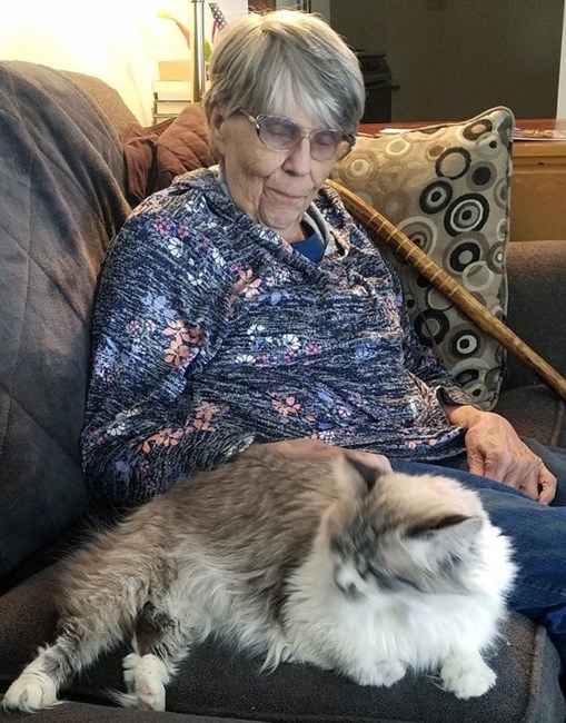 Obituary of Marilyn Louise Shultz