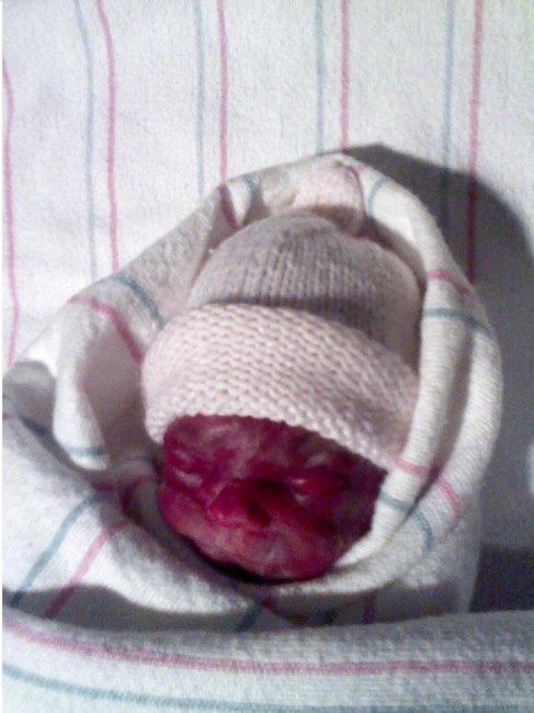 Obituary of Kristina Maria Olivares