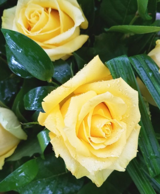 Obituario de Maranda Maier