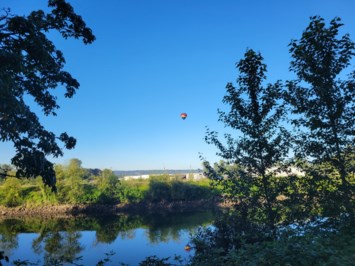 Obituary of Denise Marie Wayland