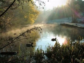 Obituary of James R. Seales